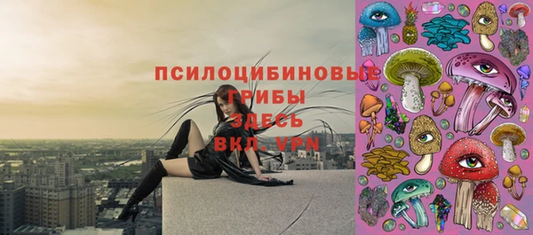 mix Мегион