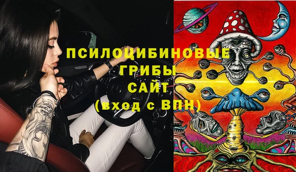 стафф Медвежьегорск