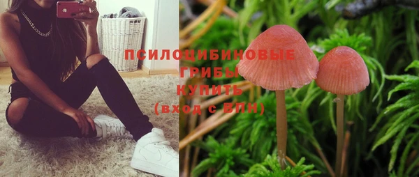 синтетический гашиш Медногорск
