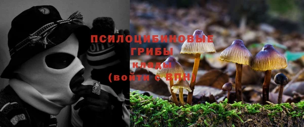 стафф Медвежьегорск