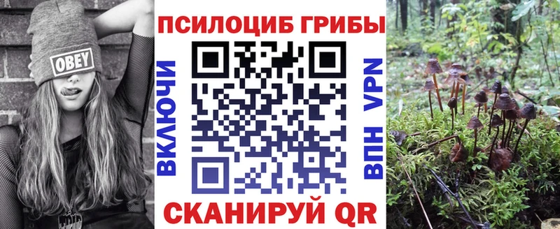 Галлюциногенные грибы Magic Shrooms  KRAKEN ТОР  Темников 